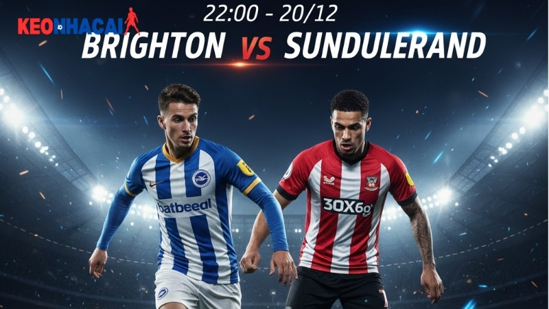 nhan nhan-dinh-bong-da-brighton-vs-sunderland-22h00-ngay-20-12dinh bong da brighton vs sunderland 22h00 ngay 20 12 Nhận định bóng đá Brighton vs Sunderland, 22h00 ngày 20/12